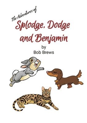 bokomslag Splodge, Dodge and Benjamin