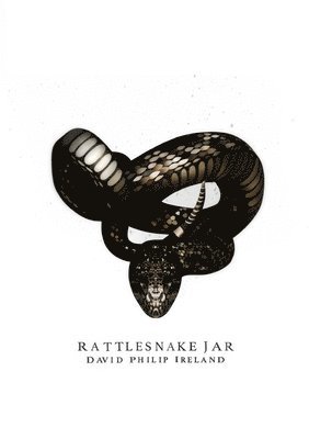 David Philip Ireland - Rattlesnake Jar A5 Paperback, Häftad