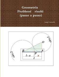 bokomslag Geometria, Problemi risolti (passo a passo)