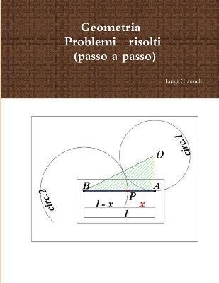 bokomslag Geometria, Problemi risolti (passo a passo)