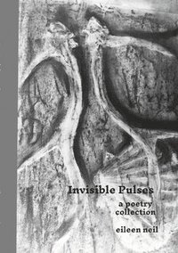 bokomslag Invisible pulses