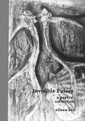 bokomslag Invisible pulses