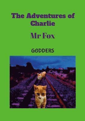 Godders - Adventures of Charlie, Häftad
