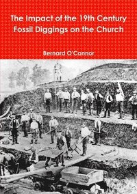 bokomslag Impact of the 19th Century Fossil Diggings on the Church
