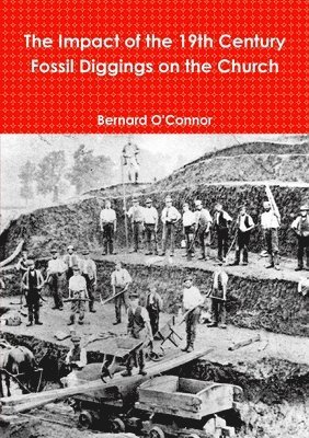 bokomslag Impact of the 19th Century Fossil Diggings on the Church