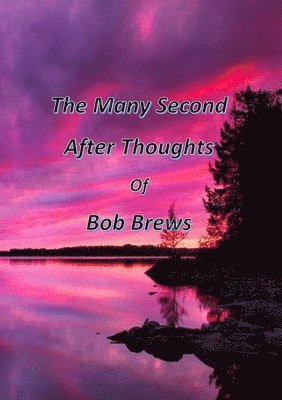 The Many Second After Thoughts of Bob Brews 1