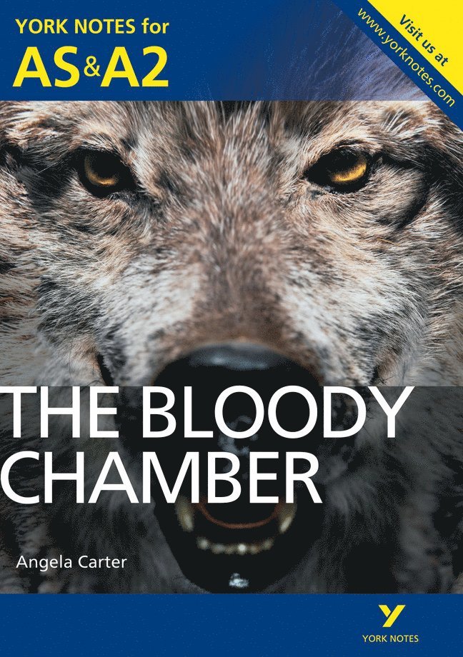 The Bloody Chamber: York Notes AS & A2 - for 2026, 2027 exams
