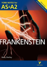 bokomslag Frankenstein: York Notes for AS & A2