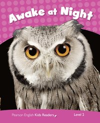 bokomslag Level 2: Awake at Night CLIL AmE