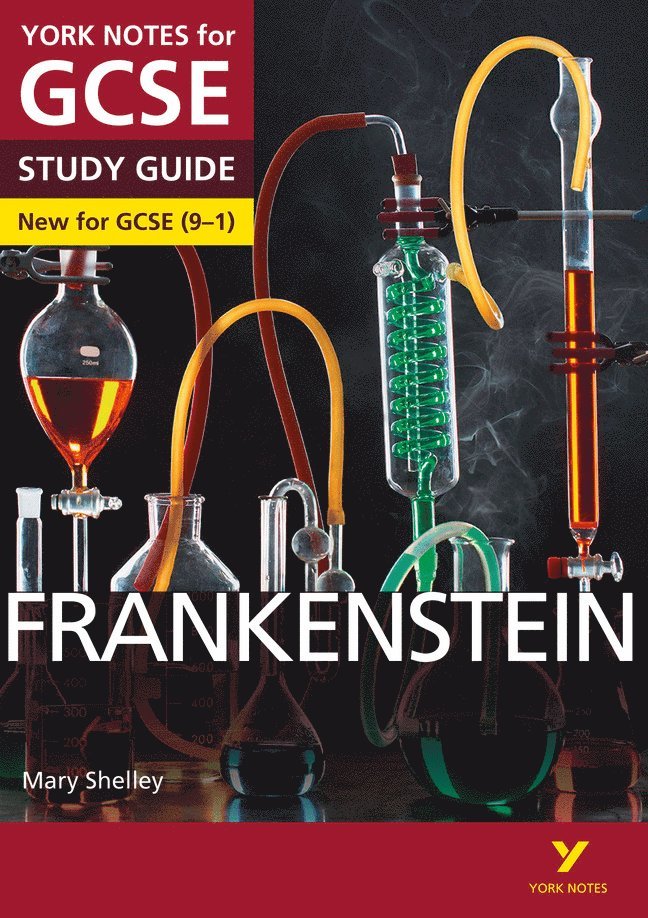 Frankenstein: York Notes for GCSE everything you need to catch up, study and prepare for and 2023 and 2024 exams and assessments 1