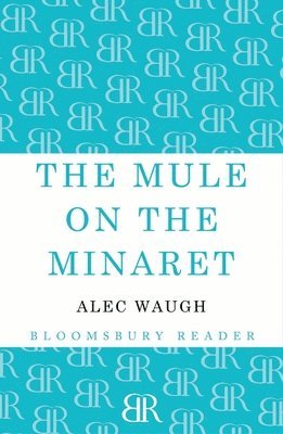 The Mule on the Minaret 1