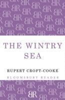 The Wintry Sea 1