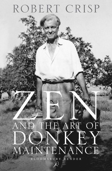 bokomslag Zen and the Art of Donkey Maintenance