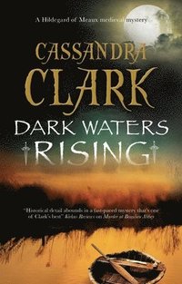 bokomslag Dark Waters Rising