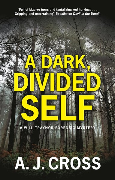 bokomslag Dark, Divided Self