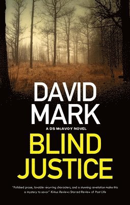 Blind Justice 1