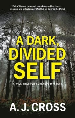 A. J. Cross - A Dark, Divided Self, Inbunden