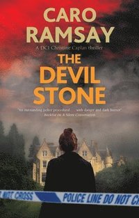 bokomslag The Devil Stone