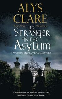 bokomslag The Stranger in the Asylum