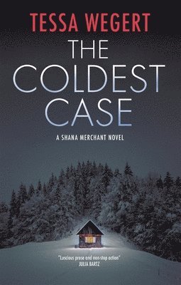 bokomslag The Coldest Case