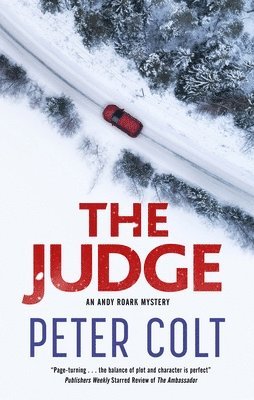 bokomslag Judge
