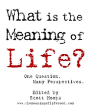 What is the Meaning of Life?: One Question. Many Perspectives. 1