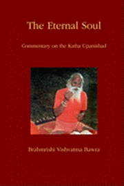 bokomslag The Eternal Soul: Commentary on the Katha Upanishad