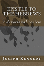 bokomslag Epistle to the Hebrews