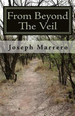 From Beyond The Veil 1