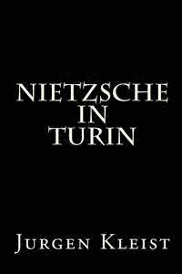bokomslag Nietzsche in Turin