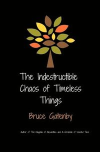 bokomslag indestructible chaos of timeless things