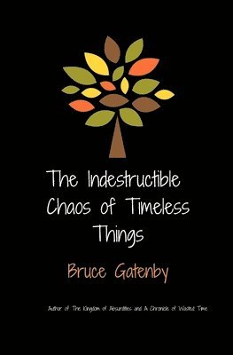 bokomslag indestructible chaos of timeless things