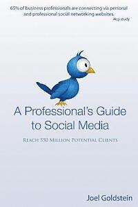 A Professionals Guide to Social Media: The complete step by step guide for an entrepreneur 1