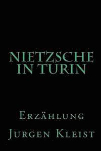 bokomslag Nietzsche in Turin: Erzählung