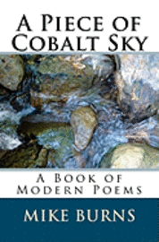 bokomslag A Piece of Cobalt Sky: A Book of Modern Poems