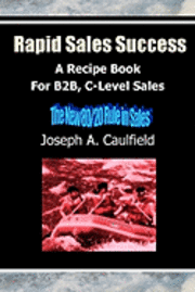 bokomslag Rapid Sales Success: A Recipe Book For B2B, C-Level Sales