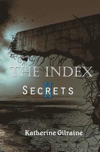 bokomslag The Index: Book 2: Secrets