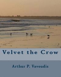 Velvet the Crow 1