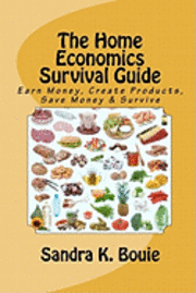 bokomslag The Home Economics Survival Guide: Earn Money, Create Products, Save Money & Survive