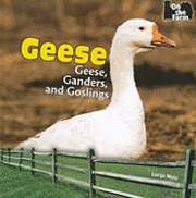 bokomslag Geese