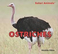 Maddie Gibbs - Ostriches, Inbunden