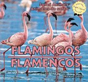 Maddie Gibbs - Flamingos / Flamencos, Inbunden