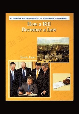 How A Bill Becomes A Law 1