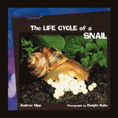 bokomslag The Life Cycles of a Snail