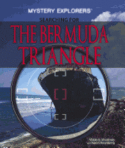 bokomslag Searching for the Bermuda Triangle