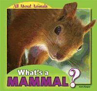 Anna Kaspar - What's a Mammal?, Inbunden