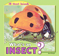 Anna Kaspar - What's an Insect?, Inbunden