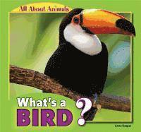 What's a Bird? 1