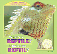 Anna Kaspar - What's a Reptile? / ¿Qué Es Un Reptil?, Inbunden
