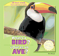 Anna Kaspar - What's a Bird? / ¿Qué Es Un Ave?, Inbunden